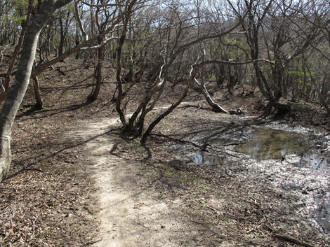 20140502hike (349)